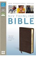 Thinline Bible-NIV