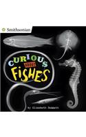 Curious About Fishes