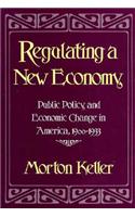 Regulating a New Economy
