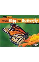 From Egg to Butterfly: (Start to Finish, Second Series)