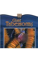 Giant Tubeworms