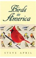 Birds In America