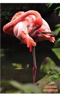 Journal Notebook: Flamingo Notebook for School and Work for Kids and Adults Animal Lovers College Ruled Lined Paper Journal 6 x 9