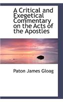 A Critical and Exegetical Commentary on the Acts of the Apostles: (English)