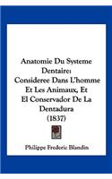 Anatomie Du Systeme Dentaire