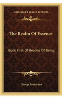 Realm Of Essence: Book First Of Realms Of Being