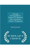 Energy Deregulation: Status of Natural Gas Customer Choice Programs - Scholar's Choice Edition