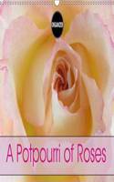 A Potpourri of Roses 2016: Roses - an endless story(Calvendo Nature)