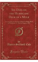 Six Days on the Hurricane Deck of a Mule