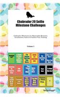 Chabrador 20 Selfie Milestone Challenges Chabrador Milestones for Memorable Moments, Socialization, Indoor & Outdoor Fun, Training Volume 3