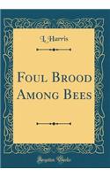 Foul Brood Among Bees (Classic Reprint)