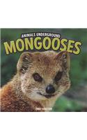 Mongooses