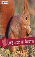 Let's Look at Autumn