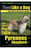 Pyrenees Shepherd, Pyrenean Shepherd Training AAA AKC - Think Like a Dog, But Don't Eat Your Poop! Pyrenees Shepherd Breed Expert Training