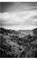 Mountain View Journal