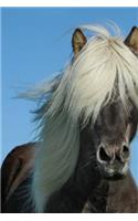 A Beautiful Icelandic Horse Journal