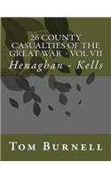 26 County Casualties of the Great War Volume VII