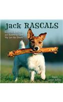 Jack Rascals: Bouncing, Barking, and Burrowing Their Way Into Our Hearts