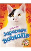 Japanese Bobtails: (Cool Cats)