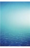 Bottom of the ocean