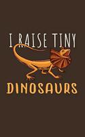 I Raise Tiny Dinosaurs