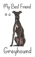 My best Friend is a Greyhound