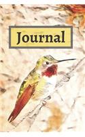 Modern Colorado Tiny Green & Red Hummingbird in a Tree Diary Pretty Journal for Daily Thoughts: Cute Gratitude Gift Notebook for Inspiration & Brainstorming Blank Lined Paper Book for Women & Girls(1 Wildlife Art Animals & Bird Lovers Blank Books)