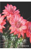 Cactus Blossom Notebook