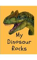 My Dinosaur Rocks