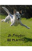 Be Pawsitive Be Playful
