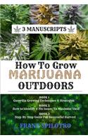 How to Grow Marijuana Outdoors
