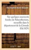 Note Sur Quelques Ossements Fossiles de Paloeotherium, Recueillis Dans Le Département de la Gironde