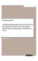 Aufnahmebedingungen für den Beitritt zur Europäischen Union unter besonderer Beachtung der Bedingung 