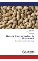 Genetic transformation in Groundnut