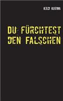Du fürchtest den Falschen: Psychothriller(German)