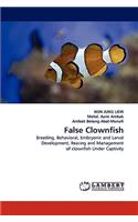 False Clownfish