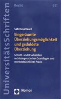 Eingeraumte Uberziehungsmoglichkeit Und Geduldete Uberziehung: Schnitt- Und Bruchstellen Rechtsdogmatischer Grundlagen Und Rechtstatsachlicher Praxis