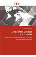 Ondelettes entières vectorielles