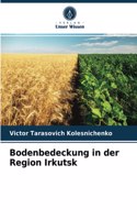 Bodenbedeckung in der Region Irkutsk