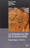 La romanizacion en Guadalajara: arqueologia e historia