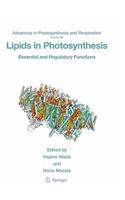 Lipids in Photosynthesis