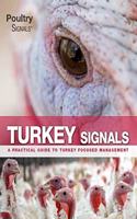 Turkey Signals: A Practical Guide to Turkey Focused Management
