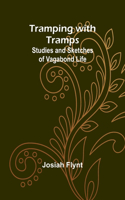 The Shame of Motley: being the memoir of certain transactions in the life of Lazzaro Biancomonte, of Biancomonte, sometime fool of the court of Pesaro (Edition1)