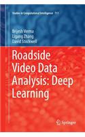 Roadside Video Data Analysis