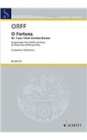 O FORTUNA