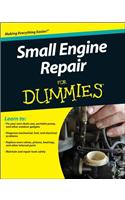 Small Engine Repair For Dummies