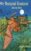 Nocturnal Creatures Col Bk