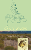 Sand Wasps