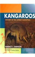 Kangaroos