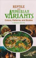Reptile and Amphibian Variants: Colors, Patterns and Scales
